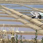 3tres Beau Logement, Idealement Situe , Plages, Port & Velo A Disp *