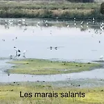 3tres Beau Logement, Idealement Situe , Plages, Port & Velo A Disp *