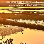 3tres Beau Logement, Idealement Situe , Plages, Port & Velo A Disp La Baule