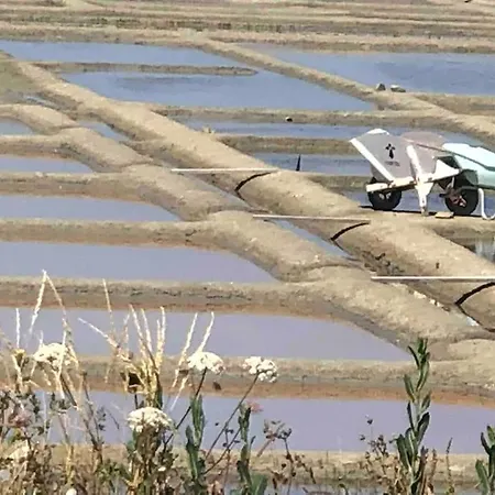 3tres Beau Logement, Idealement Situe , Plages, Port & Velo A Disp *