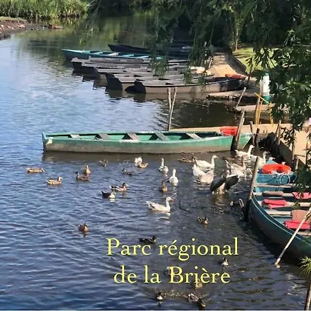 Tres Beau Logement, Idealement Situe , Plages, Port & Velo A Disp *