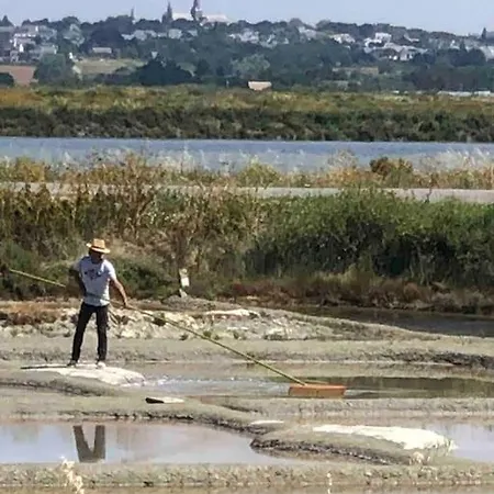 3très Beau Logement, Idéalement Situé , Plages, Port&vélo à Disp