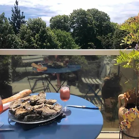 Tres Beau Logement, Idealement Situe , Plages, Port & Velo A Disp Apartment