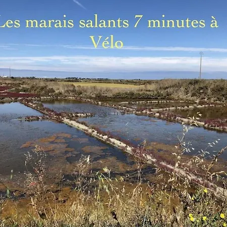 3très Beau Logement, Idéalement Situé , Plages, Port&vélo à Disp Apartamento