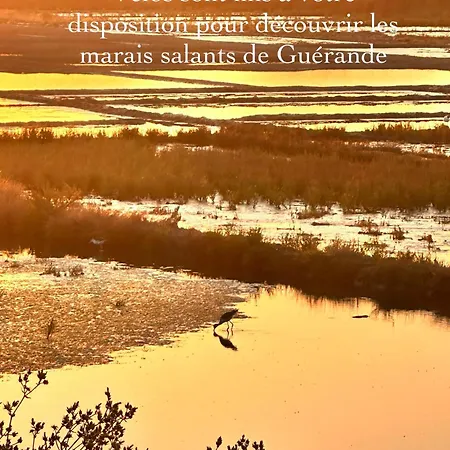 3très Beau Logement, Idéalement Situé , Plages, Port&vélo à Disp La Baule-Escoublac