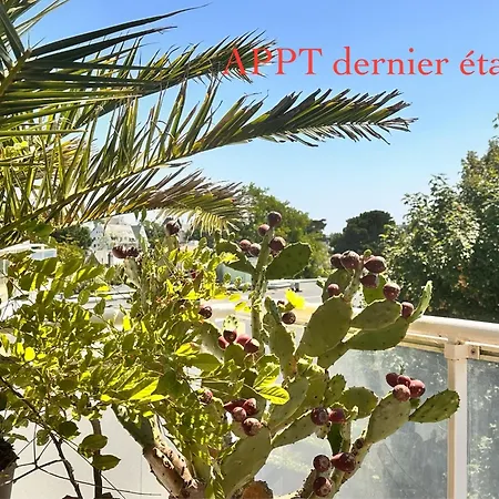شقة 3tres Beau Logement, Idealement Situe , Plages, Port & Velo A Disp *