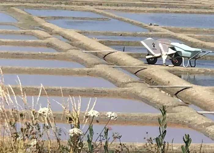 3tres Beau Logement, Idealement Situe , Plages, Port & Velo A Disp *