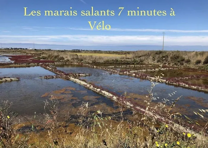 3tres Beau Logement, Idealement Situe , Plages, Port & Velo A Disp Apartman