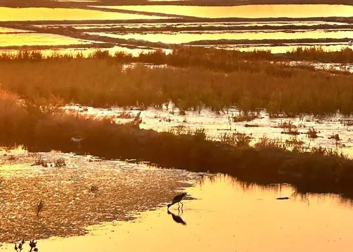 3tres Beau Logement, Idealement Situe , Plages, Port & Velo A Disp La Baule