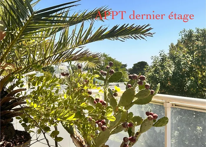 Апартаменты 3tres Beau Logement, Idealement Situe , Plages, Port & Velo A Disp *